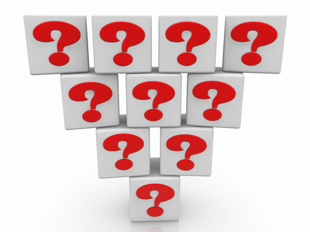 سگ آلفا: 10 نشانه و 16 نکته برای تربیت