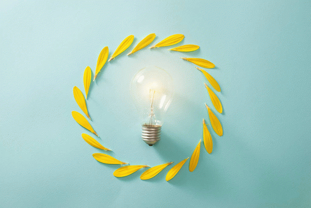 رازهای موفقیت در کسب درآمد از اینستاگرام: 9 نکته خاص، سوالات متداول و راهنمای عملی